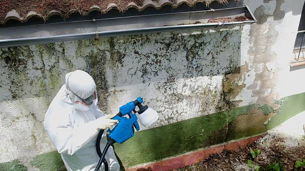 Top rated local Attic Mold Remediation specialists in Fort Knox, KY